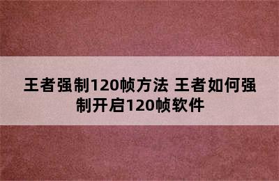 王者强制120帧方法 王者如何强制开启120帧软件